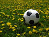 Sports & Recreation